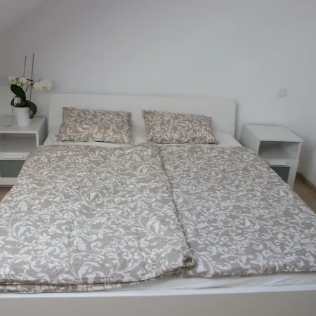 U Fuxu Apartment Zleby